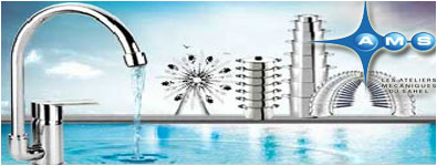 AMS - AGO et AGE le 11 Janvier 2019