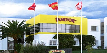 Land 'Or - Baisse des revenus de 3% au 30 Septembre 2024