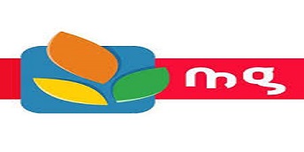 Magasin Général - Le résultat provisoire de la société passe à 11,41 MDT au 31/12/2019
