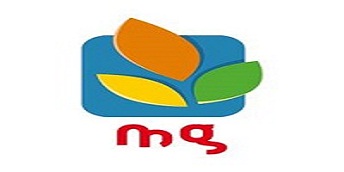  Magasin Général - Légère hausse des revenus de 5% au 31 Décembre 2024