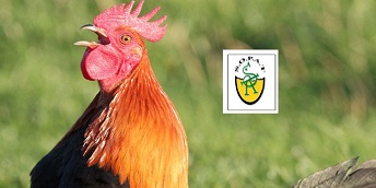 Maxula Bourse fait le point sur les Réalisations de la SOPAT au 31/12/2009   